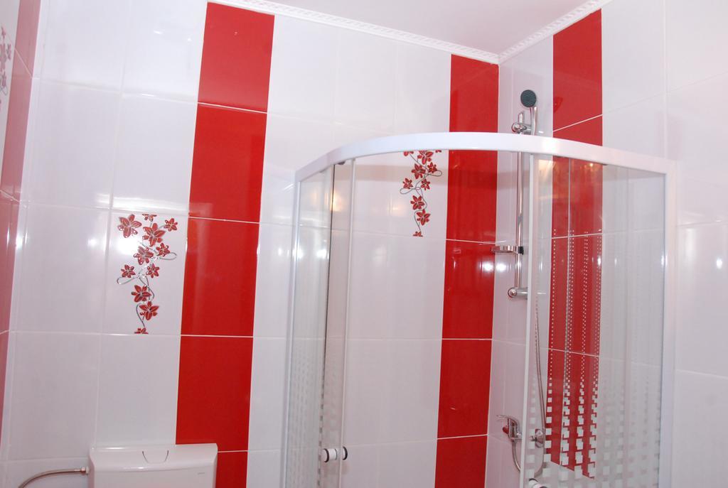 Vila Nicoleta Otel Sibiu Dış mekan fotoğraf